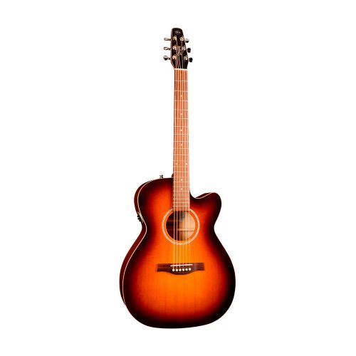 Seagull Entourage Rustic CW Concert Hall QIT