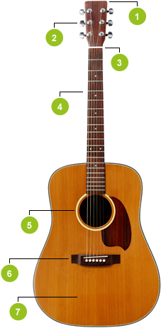 Generelt guitaren - Lær om guitarens opbygning